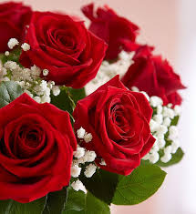 Check spelling or type a new query. Red Roses Gift Club 1800flowers Com 167896