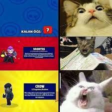 Whaaaaaaaaaaaaaaaaaaaaaaaaaaaaaaaaaaaaaaaaaaaaaaaaaaaaaaaaaaaaaaaaaaaaaaaaaaaaaaaaaaaaaaaaaaaaaaaaaaaaaaaaaaaaaaaaat Neden Wh 2020 Oyun Dunyasi Komik Seyler Komik