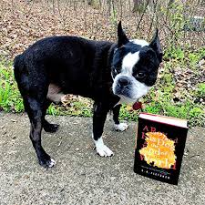 Maybe you would like to learn more about one of these? A Boy And His Dog At The End Of The World A Novel Fletcher C A 9780316449458 Amazon Com Books