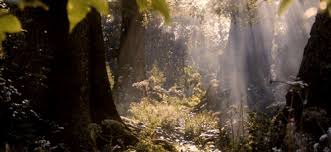 The perfect aesthetic anime nature animated gif for your conversation. Aesthetic Forest Gif Largest Wallpaper Portal