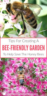 Choose canada's national florist when ordering your next arrangement or bouquet by variety. 100 Canadian Gardens Flowers Ideas Plants Flowers Beautiful