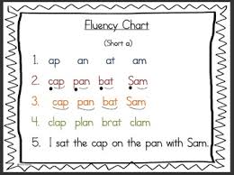 Updated Fluency Charts And Sight Word Cards For Struggling Readers