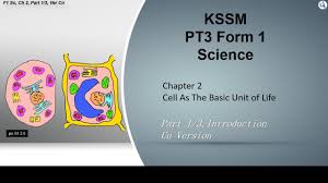 Nerve cell carries messages in the form of electrical impulses around the body. Kssm Form 1 Science Chapter 2 Cells As The Basic Unit Of Life Part 1 3 En Youtube