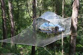 Une Tente Bulle Perche Dans Les Arbres Cabane Dans Les Arbres Chambre Bulle Arbre