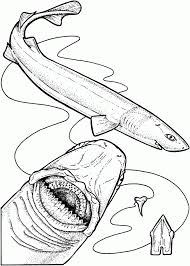 This is a sharks coloring sheet. Coloring Rocks Shark Coloring Pages Shark Coloring Shark Coloring Page