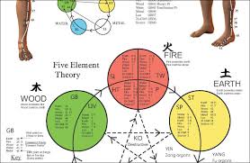 Acupuncture Meridian Points And Pathways Poster 18 X 24