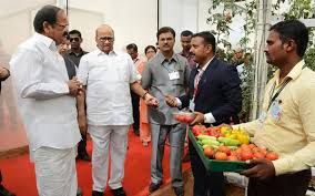 Ncp president sharad pawar (file). Sharad Pawar S Baramati An Exemplar Of Rural Development Says Vice President Venkaiah Naidu The Hindu