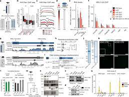 Explorelearning ® is a charlottesville, va based company that develops online solutions to improve student learning in math and science. Rna Nucleation By Msl2 Induces Selective X Chromosome Compartmentalization Nature