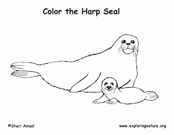 We offer free printable coloring pages from all over the internet , for teachers, parents, kids and stay at home moms. Seal Coloring Pages Coloring Home