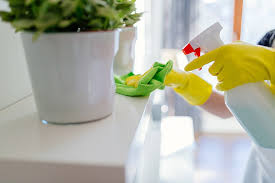 Diy natural cleaning kit for kids. 34 Essential Cleaning Products Every Home Needs Moving Com