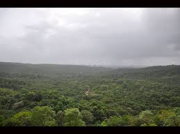 Sanjay Gandhi National Park in Mumbai ...