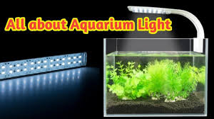 Aquariums All About Aquarium Light In 2020 Aquarium Lighting Aquarium Fish Tank Lights