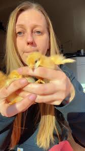 Stephanie Briggs (@playmatesnb)