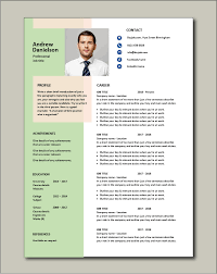Already tried to sum up everything and remember the whole career path from the beginning and it didn't work out? Free Resume Template 3 Free Cv Format Template Insymbio