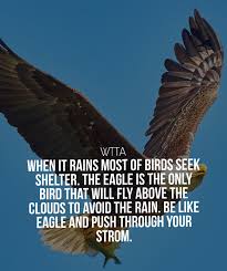 #eagle #american freedom #freedom #eagles use the negative energy of a storm to fly even higher #eagles fly high above the world #not to look down on people #but to encourage them to look up #america will not be defeated #make. Powerful Quotes Archives Willing To Take Actions