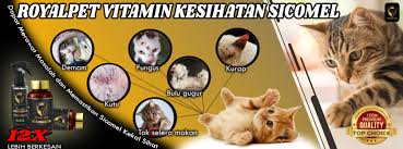 We did not find results for: Royalpet Vitamin Terbaik Untuk Kucing Home Facebook