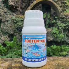 Rocten 748SL