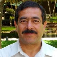 1700+ "Pando" profiles