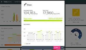 Fitbit Dashboard Updated With Weekly Activity And More