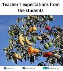 Maybe you would like to learn more about one of these? Sarcasm Place On Twitter Fruit Cocktail Tree Fruit Salad Tree Grafting Fruit Trees