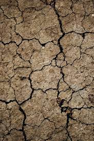 Free Texture Friday Cracked Mud Stockvault Net Blog Earth Texture Dirt Texture Photography Elements