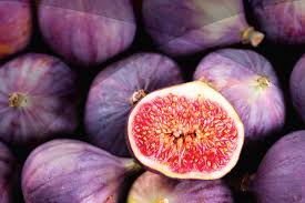 Maybe you would like to learn more about one of these? South African Fig Producers Association Sa Figs