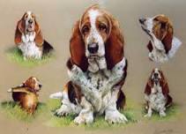 Leiston Workshop: Animals, Birds and Pets