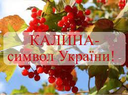 В україні зростають два аборигенні види роду viburnum: Kalina