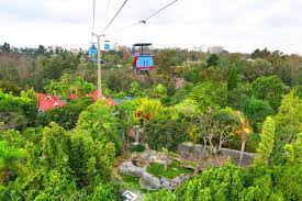 We did not find results for: San Diego Zoo Skyfari Tram X Days In Y