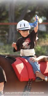 Red Arena Round Up Rodeo And The Winner Is Noah Horse Therapy Therapy Animals Therapeutic Horseback Riding