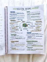 Ruminant Digestive System Notes School Study Tips College Notes Study Notes
