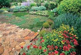 Check spelling or type a new query. Beauty Ecology And Comfort Bringing Permaculture To New Mexico S Dessert Gardens