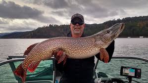 Forsterfoto, creative commons loch ness is purportedly the most famous lake in the world and one of the most visited locations in scotland. Record Breaking Northern Pike Caught In Lake Coeur D Alene Ktvb Com