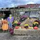 Maple Ridge Nursery Halloween & Fall Activities event in Painesville, OH