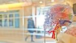  Psychology will fail if it keeps using ancient words like “attention” and “memory”