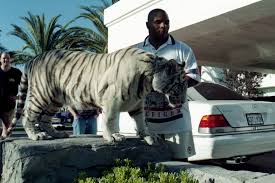 Mike Tyson Told Joe Rogan How He Came To Own Three Tigers