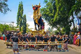 Cultural Immersion Tours in Indonesia