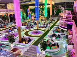 King Koi Coffee Garden Vietnam Travel Koi Fun Slide