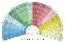 Have You Seen This Cool New Genealogy Charting Tool