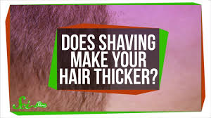 However, if you understand the scientific fact behind it, you will know that the hair grows exactly the same in every phase. Does Shaving Make Your Hair Thicker Youtube