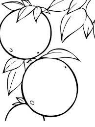 En esta oportunidad queremos mostrarles las mejores imagenes de banderas de distintos países para colorear y hacer que los mas pequeños aprendan jugando y divirtiéndose. Frutas De Naranja 3 Dibujos Para Colorear Y Imprimir Gratis Para Ninos