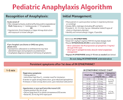 Anaphylaxis or other immediate hypersensitivity reactions to vaccine components or the container (e.g., latex). Facebook