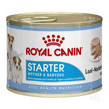 Royal Canin Starter Mousse Yavru Kopek Konservesi Pet Ihtiyac