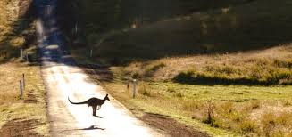 Air new zealand had previously guided the market to expect cash burn of nz$45 million. Australia New Zealand Travel Bubble For Early 2021