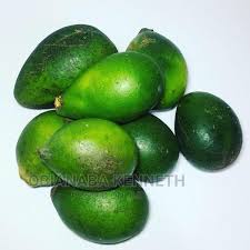 Image result for Hunteria