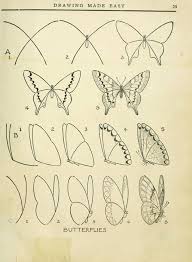 How To Draw A Butterfly Drawings Butterfly Drawing Art Drawings Simple