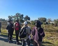 Nature Caminata: Observar Aves/Bird Watching