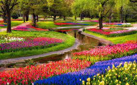Find the greates flower wallpapers on pexels which are free to download and use as background images on your mac computer, macbook and windows computer. Flower Garden Wallpapers Top Free Flower Garden Backgrounds Wallpaperaccess