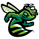 Myrtle Beach Pelicans at Augusta GreenJackets