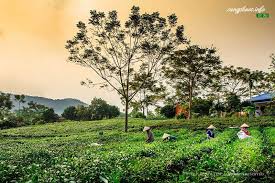 Dừng triệt để các nghi lễ tôn giáo, hoạt động có tập trung tại các cơ sở tôn giáo, tín tiếp tục dừng các hoạt động biểu diễn văn hóa, nghệ thuật; Cac Ä'á»‹a Ä'iá»ƒm Du Lá»‹ch á»Ÿ Thai Nguyen Cáº­p Nháº­t 04 2021